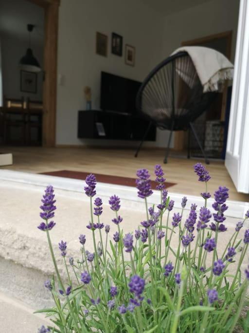 Ferienwohnung Zur Parthe Grimma Kültér fotó